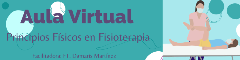 principiosfisicosenfisioterapia.milaulas.com